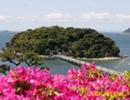 がまごおり協働のまちづくり基金　