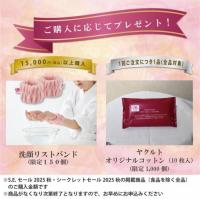 【SALE】　★注文専用ページ★グランティアEX ビューティアップ コフレ